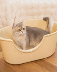 Dual-Mineral Odor Guard Cat Litter Deodorizer