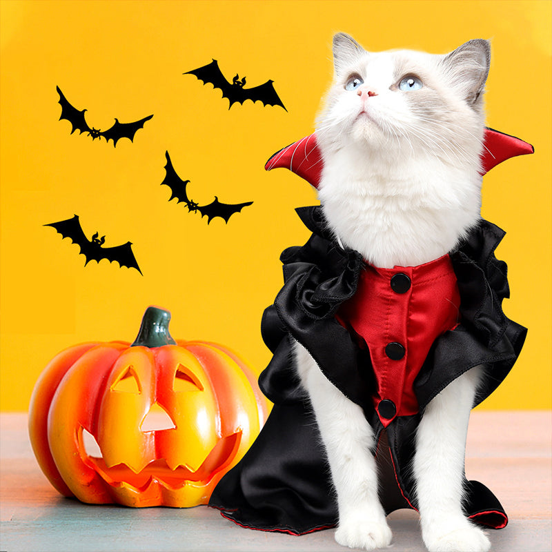 Vampire Cat Costume