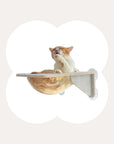 Cat Window Perch Suction Cup Hammock