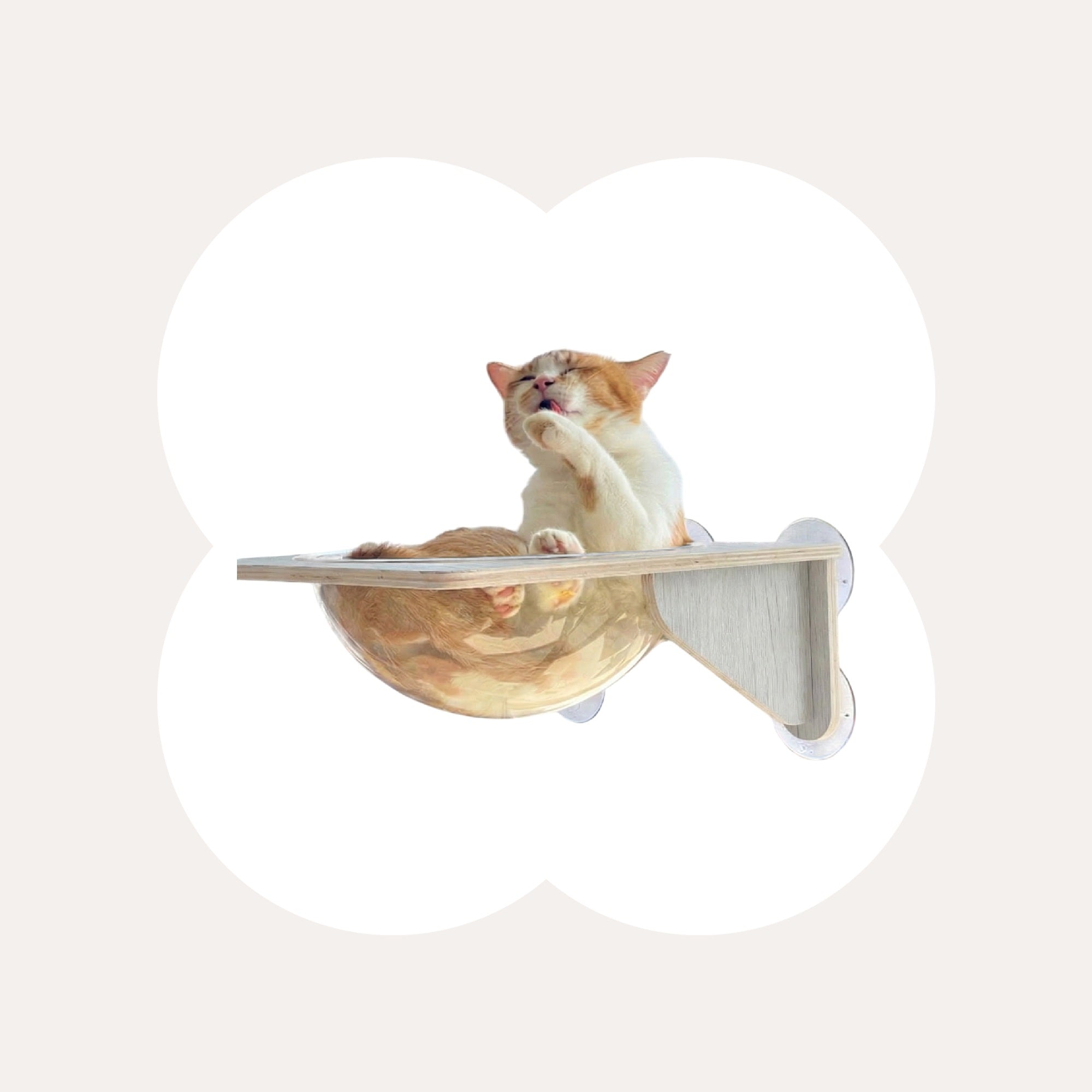 Cat Window Perch Suction Cup Hammock