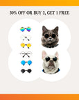 Super Cool Pet Glasses