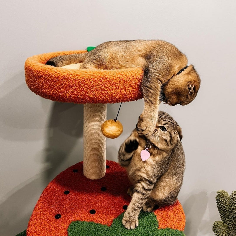 Fruit World Cat Tree