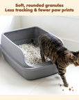 Coconut Charcoal Tofu Cat Litter
