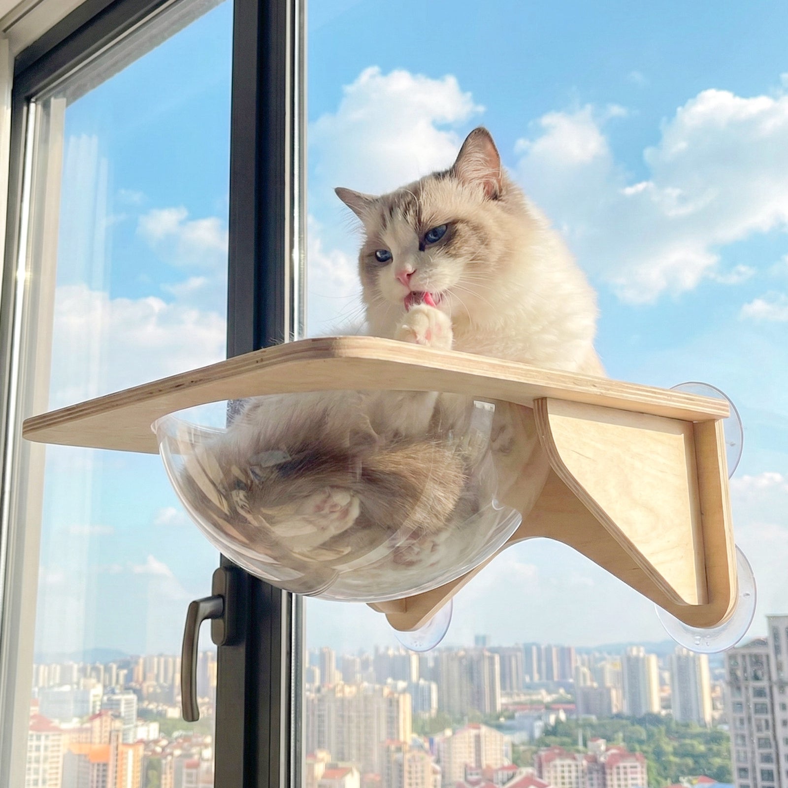 Cat Window Perch Suction Cup Hammock