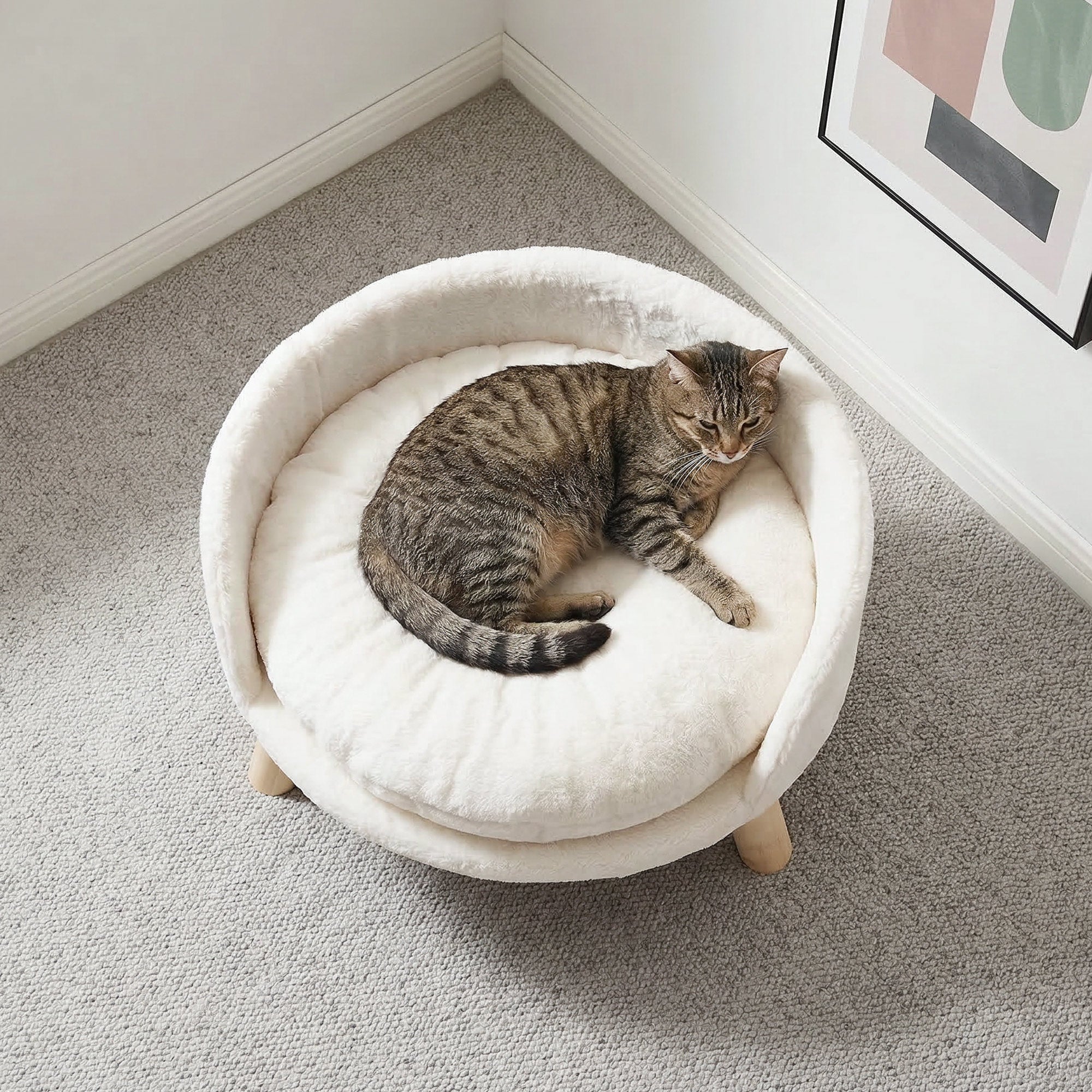 Cat Sofa Bed with Removable Padded Cushion