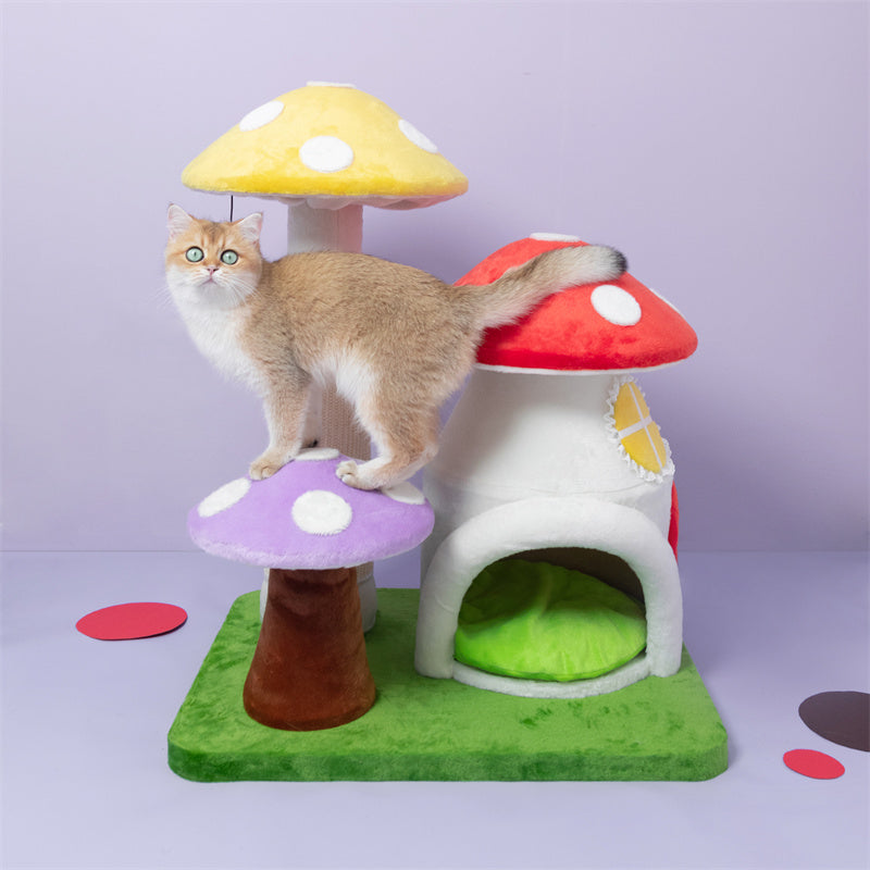 Buy Best Cat Products Online - Happy & Polly – Page 7