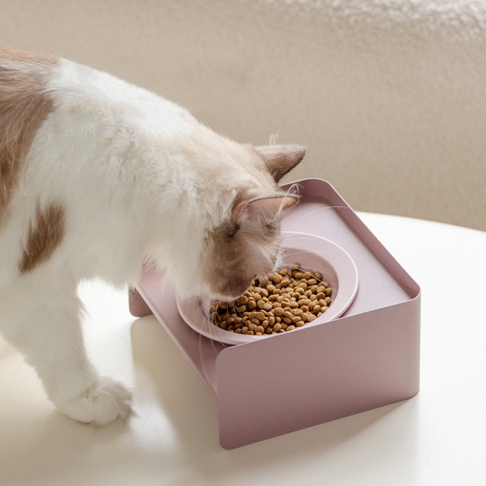 Cozy Halo Cat Bowl