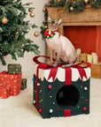 Top Christmas Gift: All-in-One Comfort & Play for Your Cat