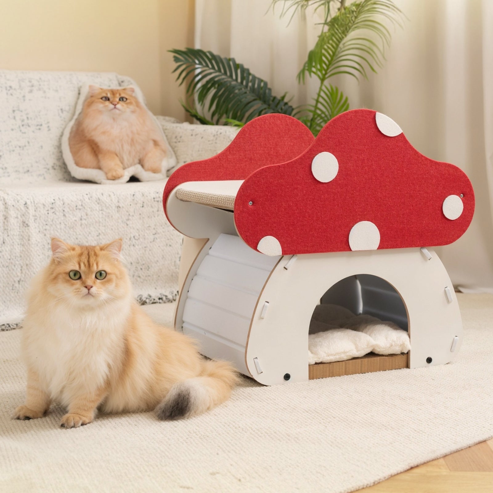 Mushroom Loft – Cat Bed &amp; Scratcher Combo
