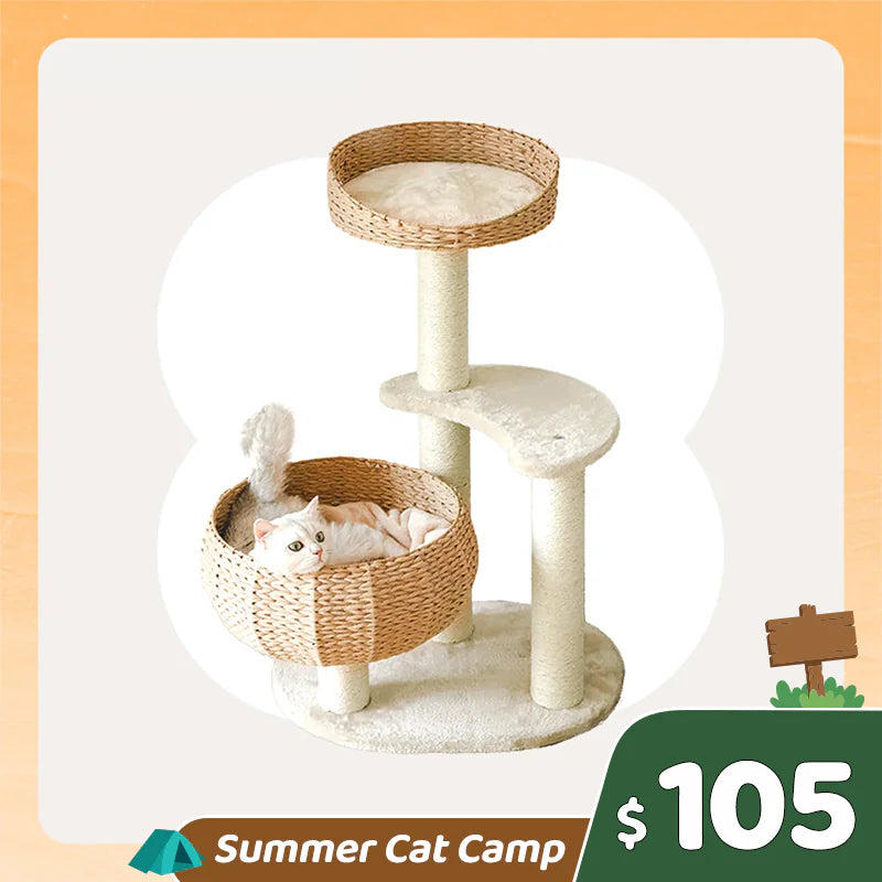 Sleeping in the Bowl Cat Tree