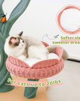 Yellow Tulip Cat Tree