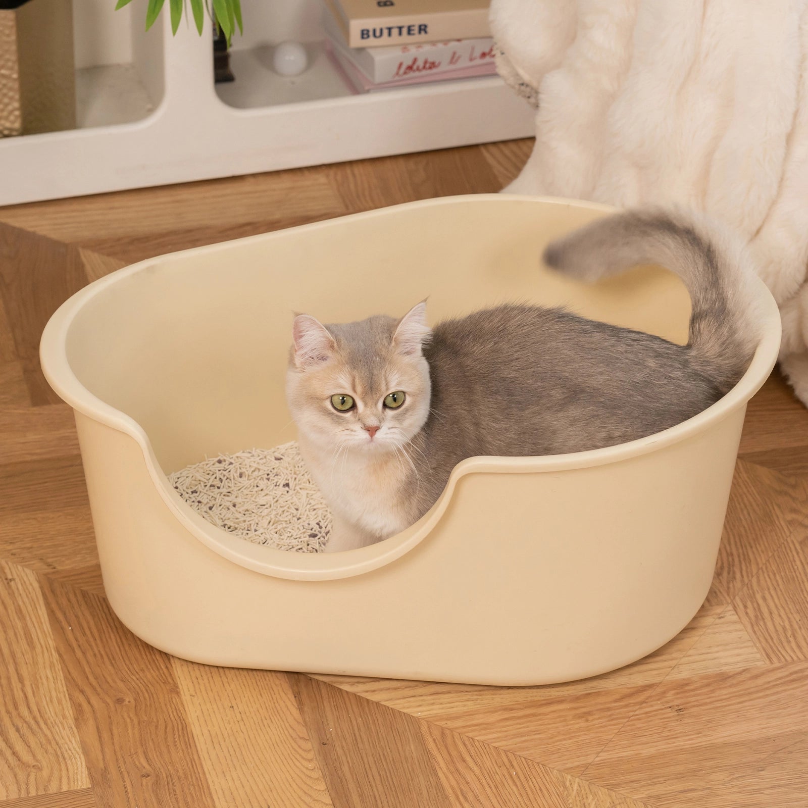 Dual-Mineral Odor Guard Cat Litter Deodorizer