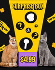 Surprise Blind Box for $4.99 – Get a randomly selected item like a cat bowl, teaser wand, and more