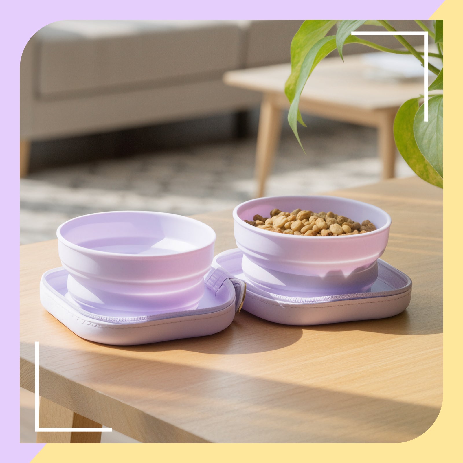 20oz Portable Double Cat Bowl