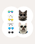 Super Cool Pet Glasses