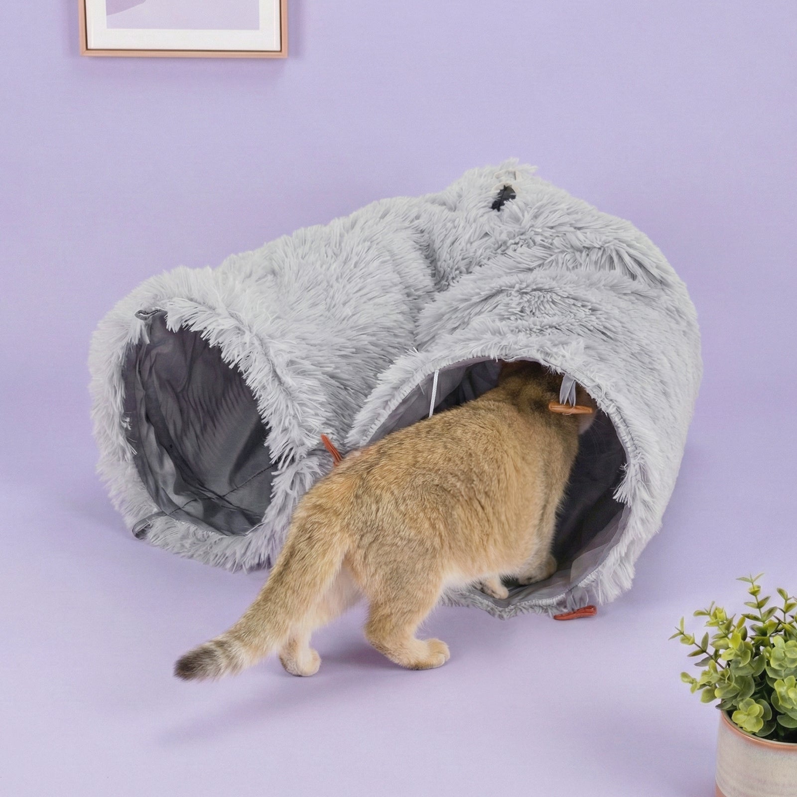 Elves in the Gray Cat Tunnel