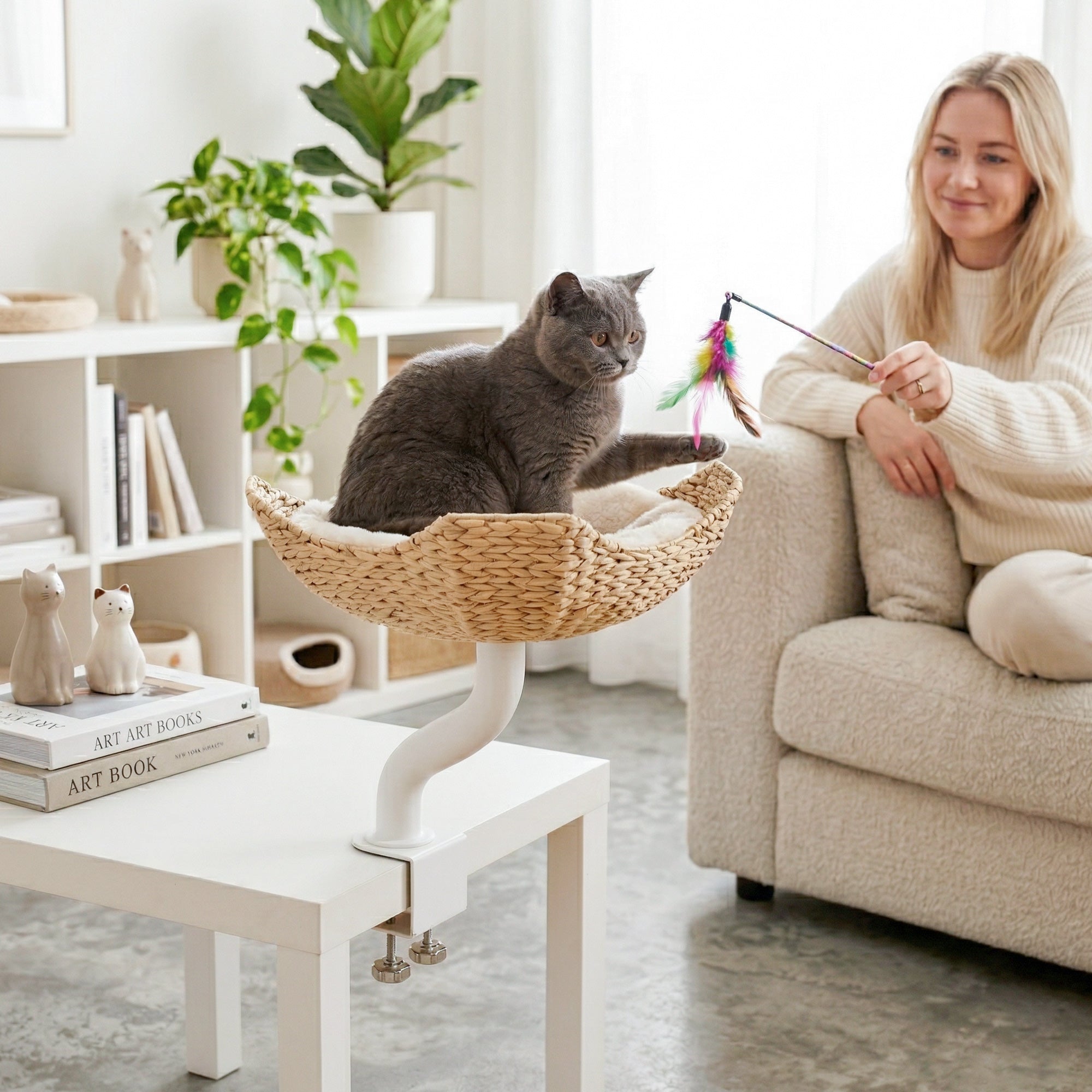 Woven Nest Desk Cat Bed