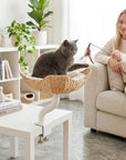 Woven Nest Desk Cat Bed