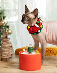 Limited Edition Retro Gift: Cozy Christmas for Your Cat