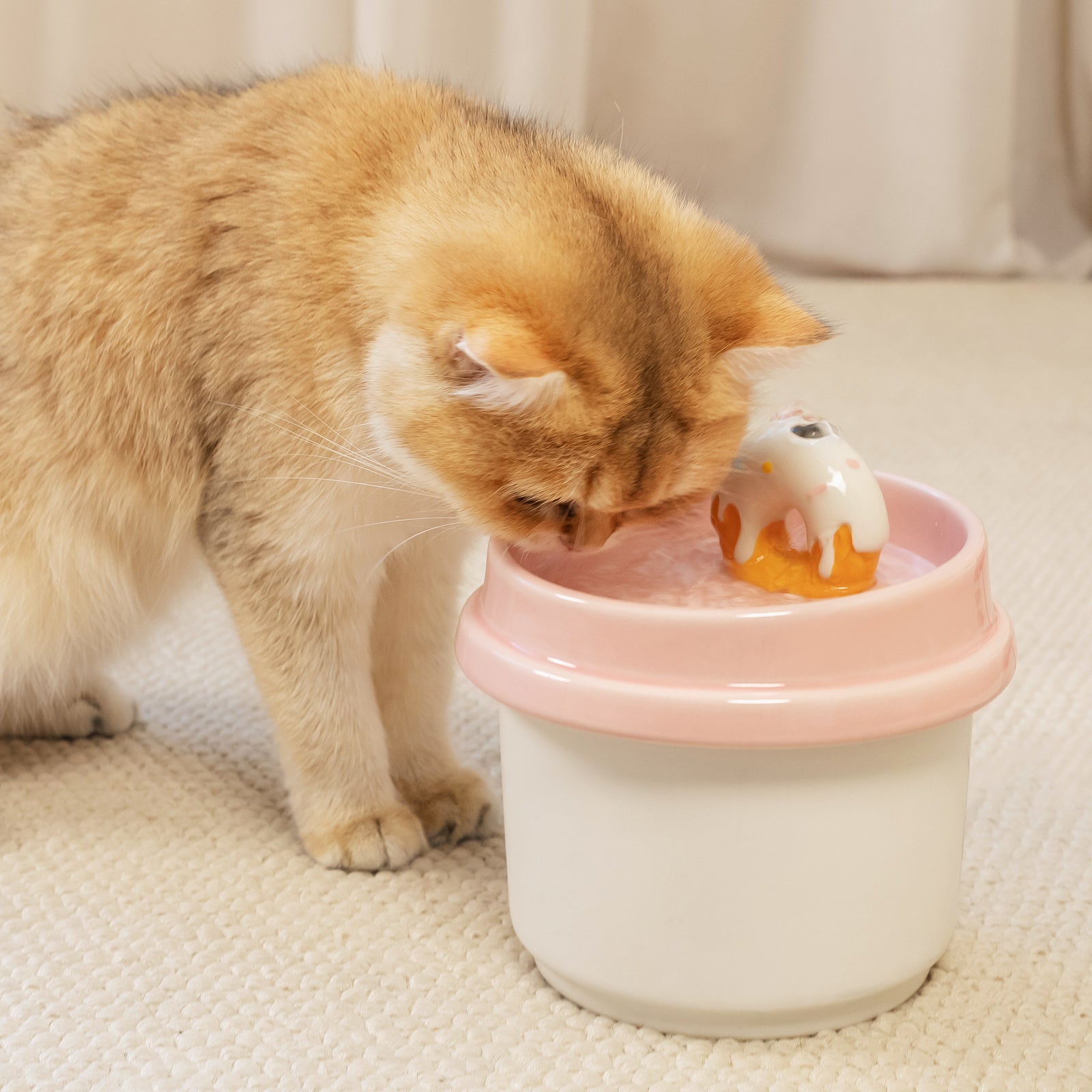 42oz Donut Style Cat Water Fountain