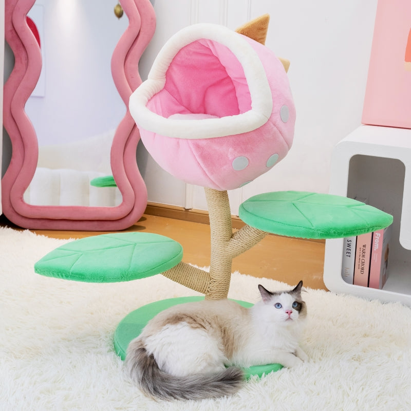Happy & Polly Online Pet Store | Cat Bowls, Toys, Trees & Supplies