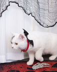 Devil Wing Collar for Cats and Humans