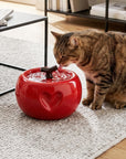 50oz Love Apple Cat Water Fountain