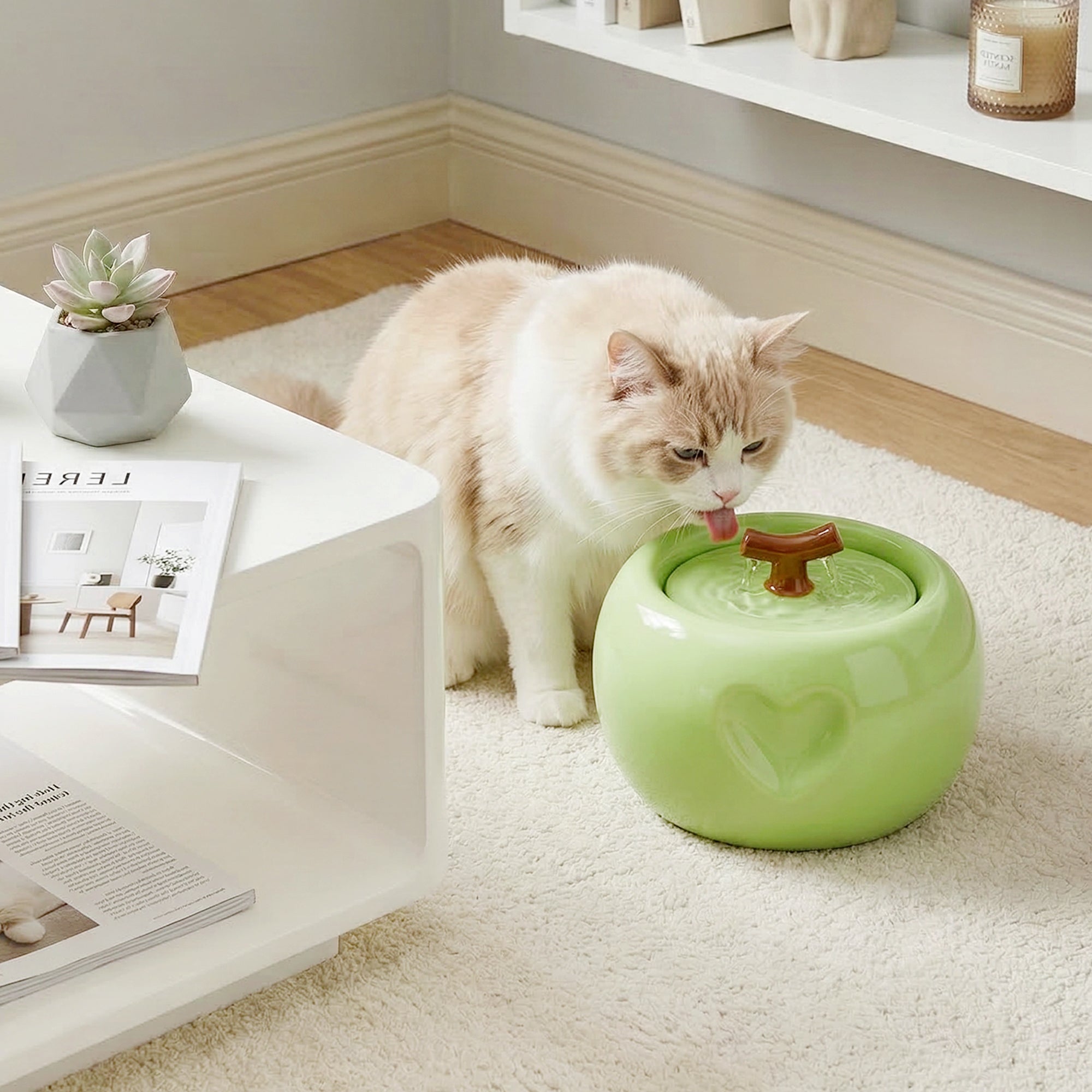 50oz Love Apple Cat Water Fountain