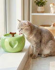50oz Love Apple Cat Water Fountain