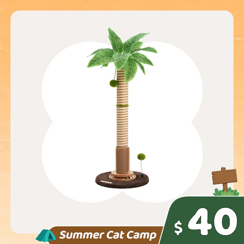 Coconut Palm Cat Scratching Post