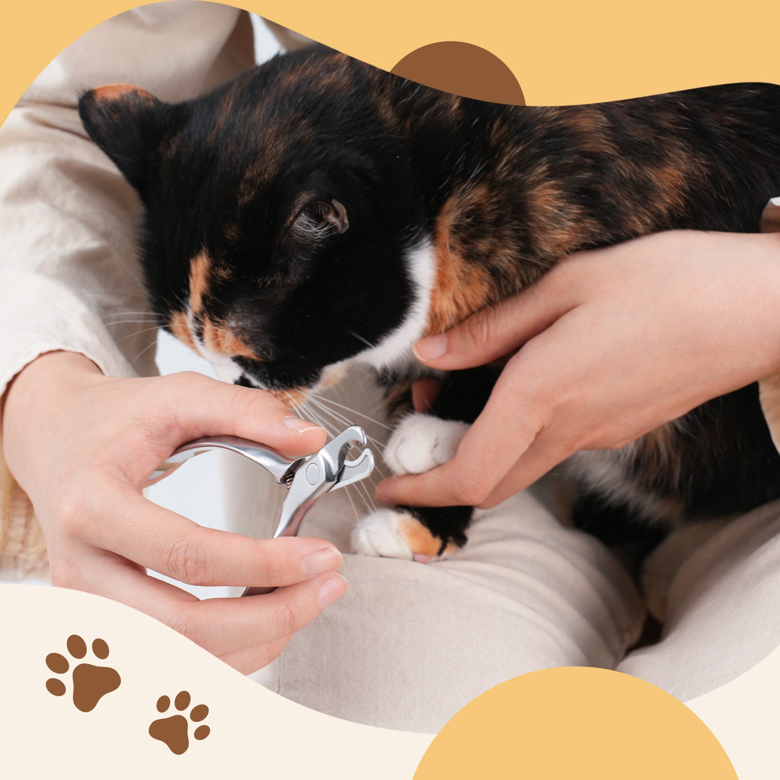 Stainless Steel Pet Nail Clipper with Nail File