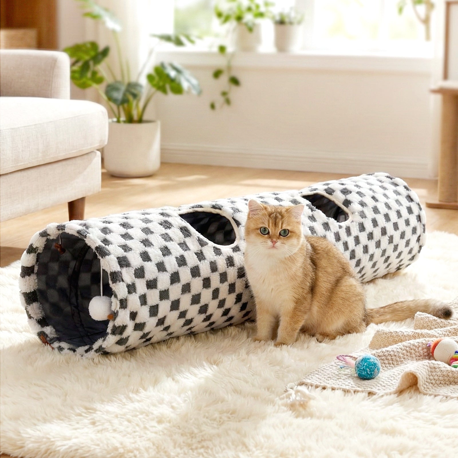 Elves in the Checkerboard Cat Tunnel