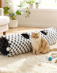 Elves in the Checkerboard Cat Tunnel