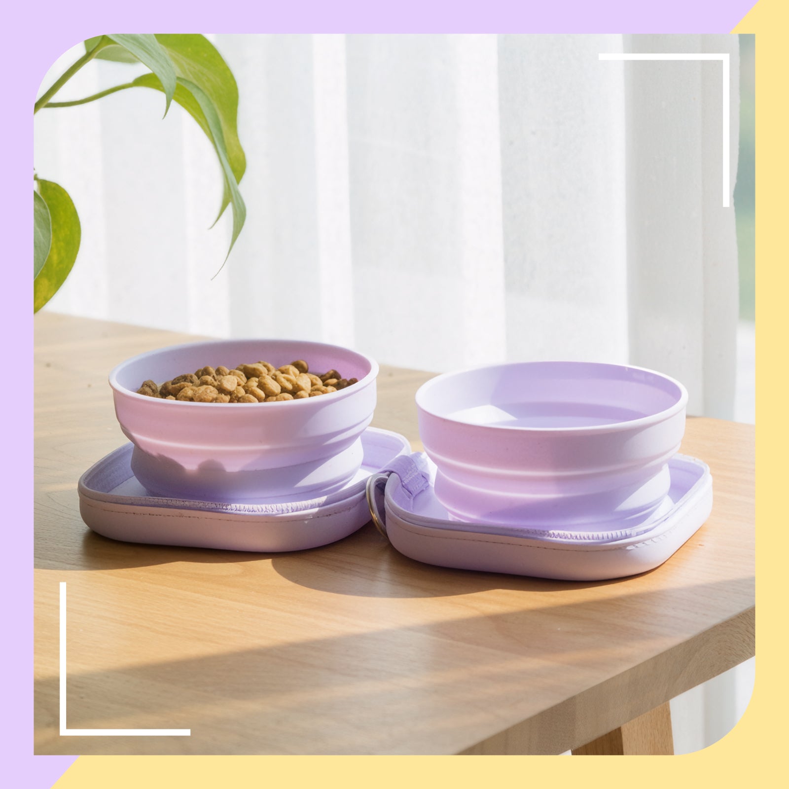 20oz Portable Double Cat Bowl