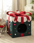 Top Christmas Gift: All-in-One Comfort & Play for Your Cat