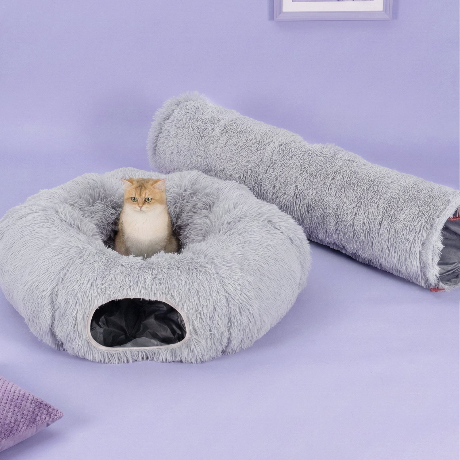 Elves in the Gray Cat Tunnel