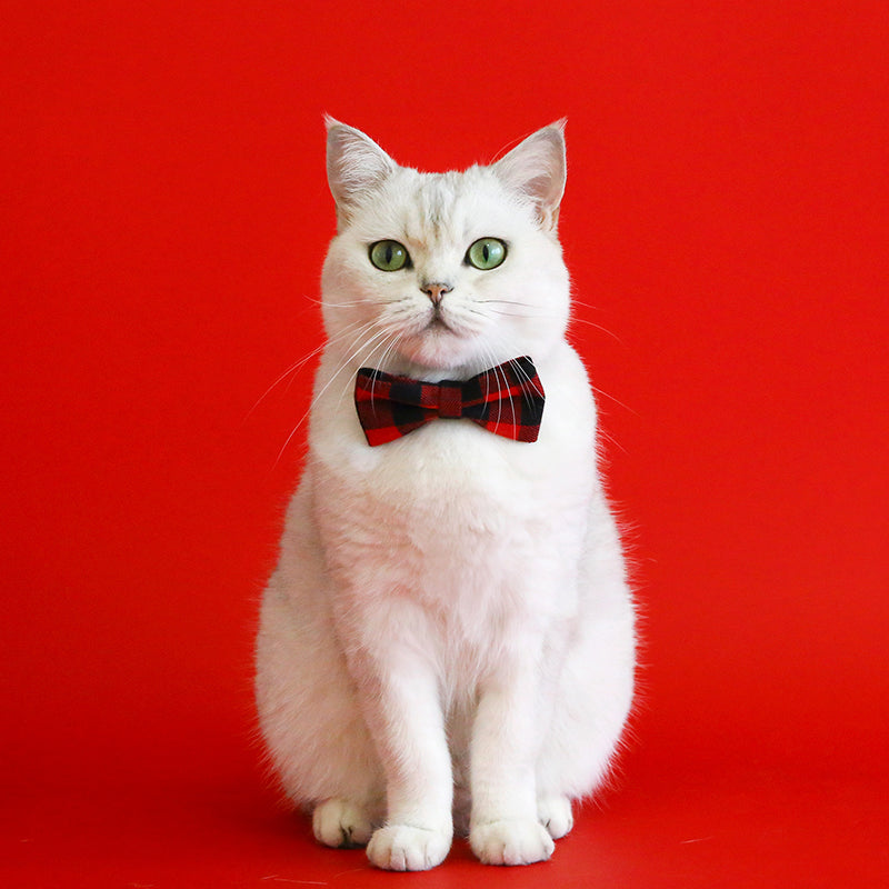Plaid Cat Collar-Adjustable Anti-Choking Elegance
