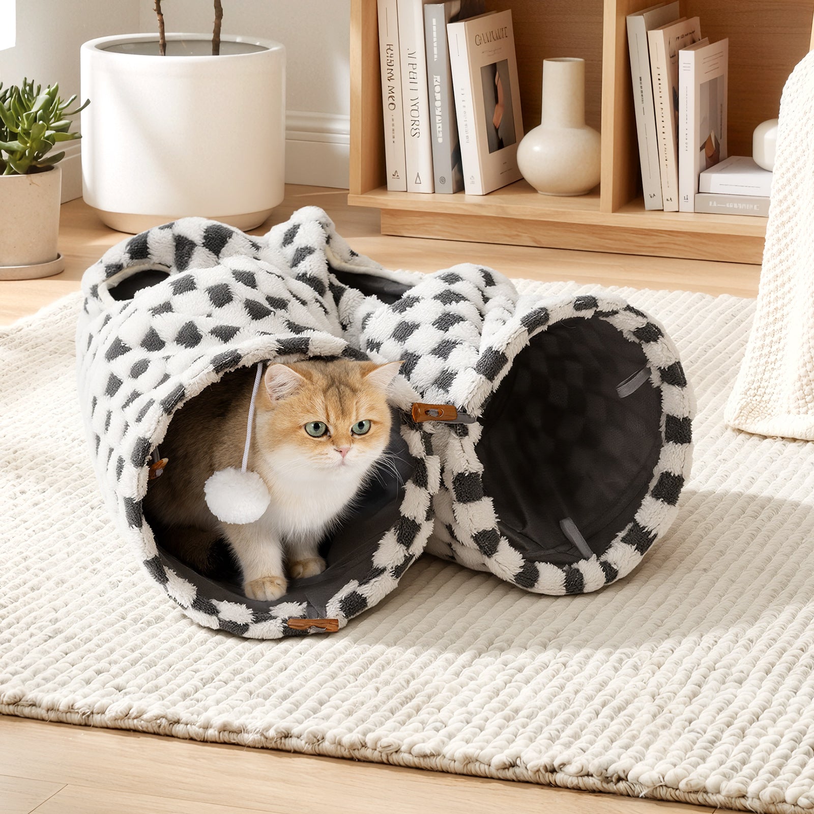 Elves in the Checkerboard Cat Tunnel