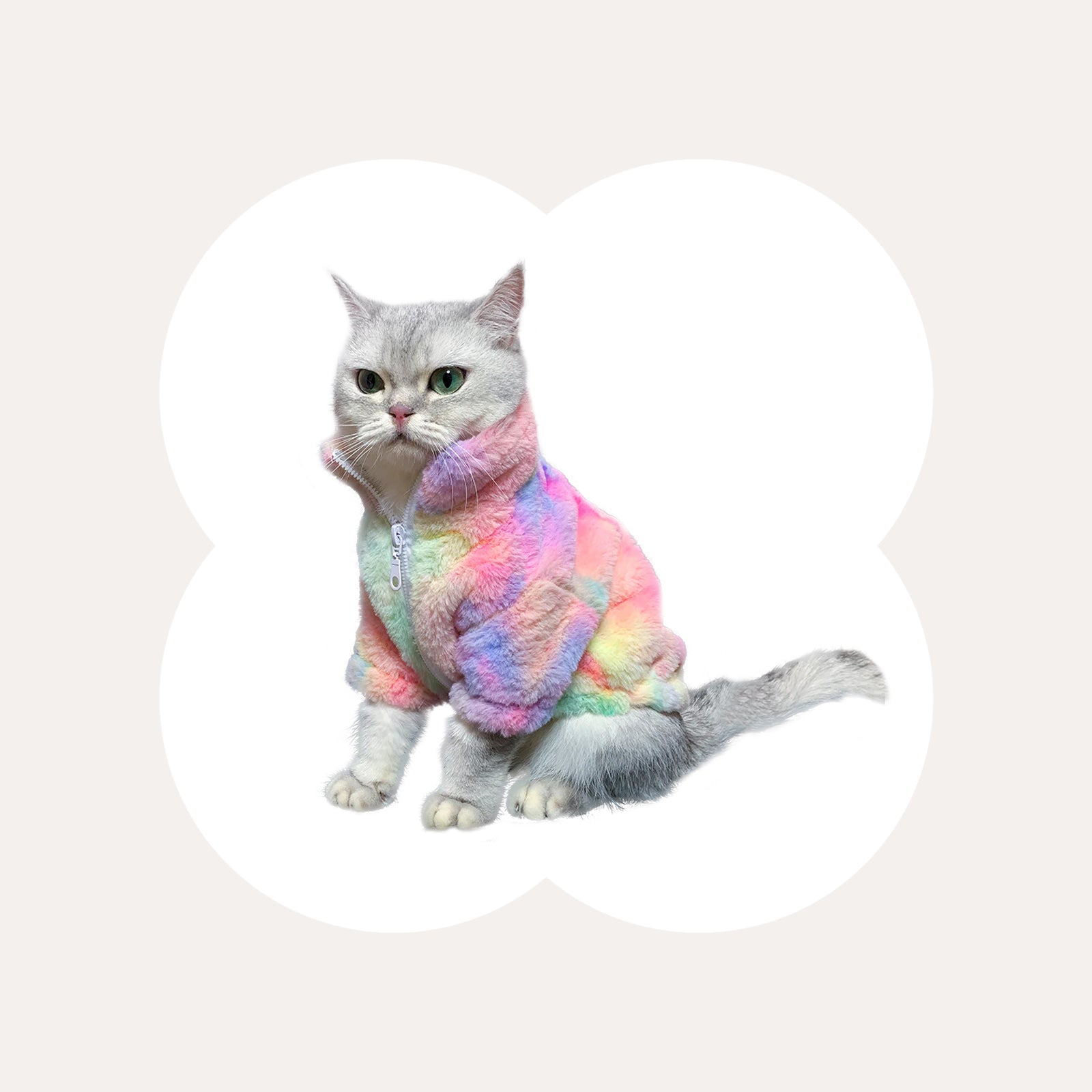 Best cat clothes best sale