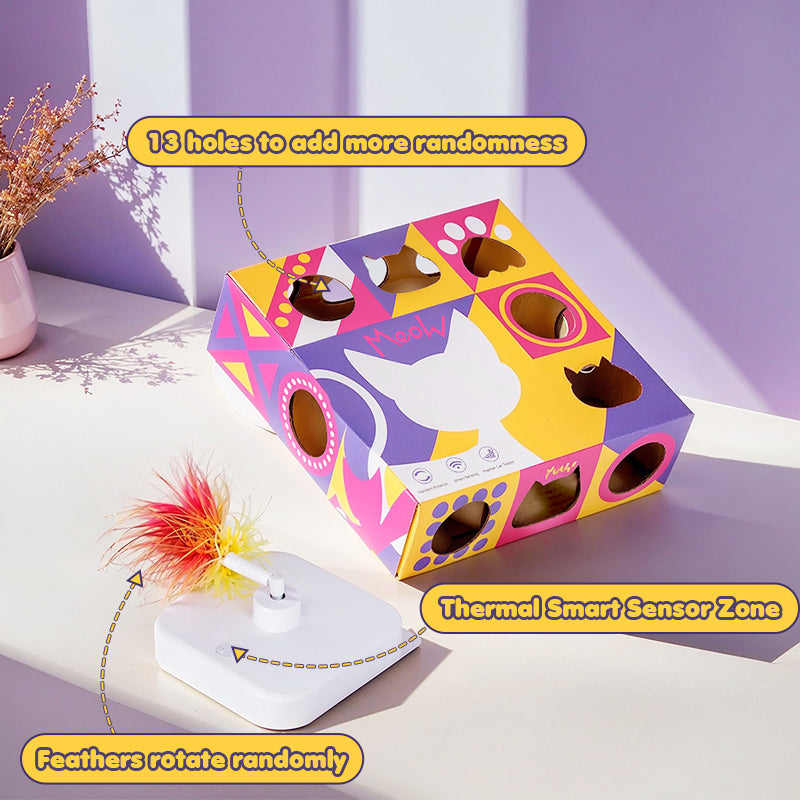 Smart Cat Teaser Box – Happy & Polly