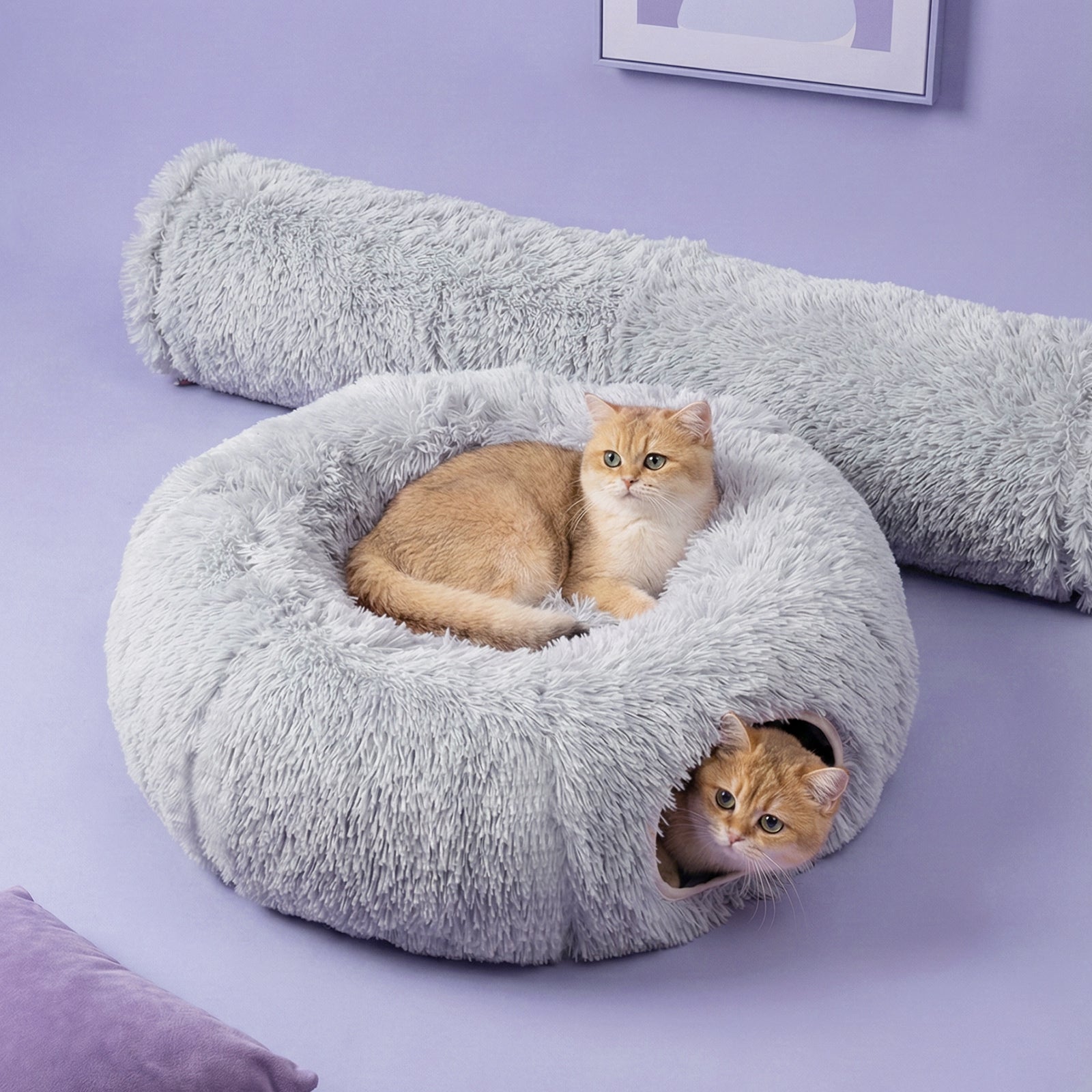 Elves in the Gray Cat Tunnel