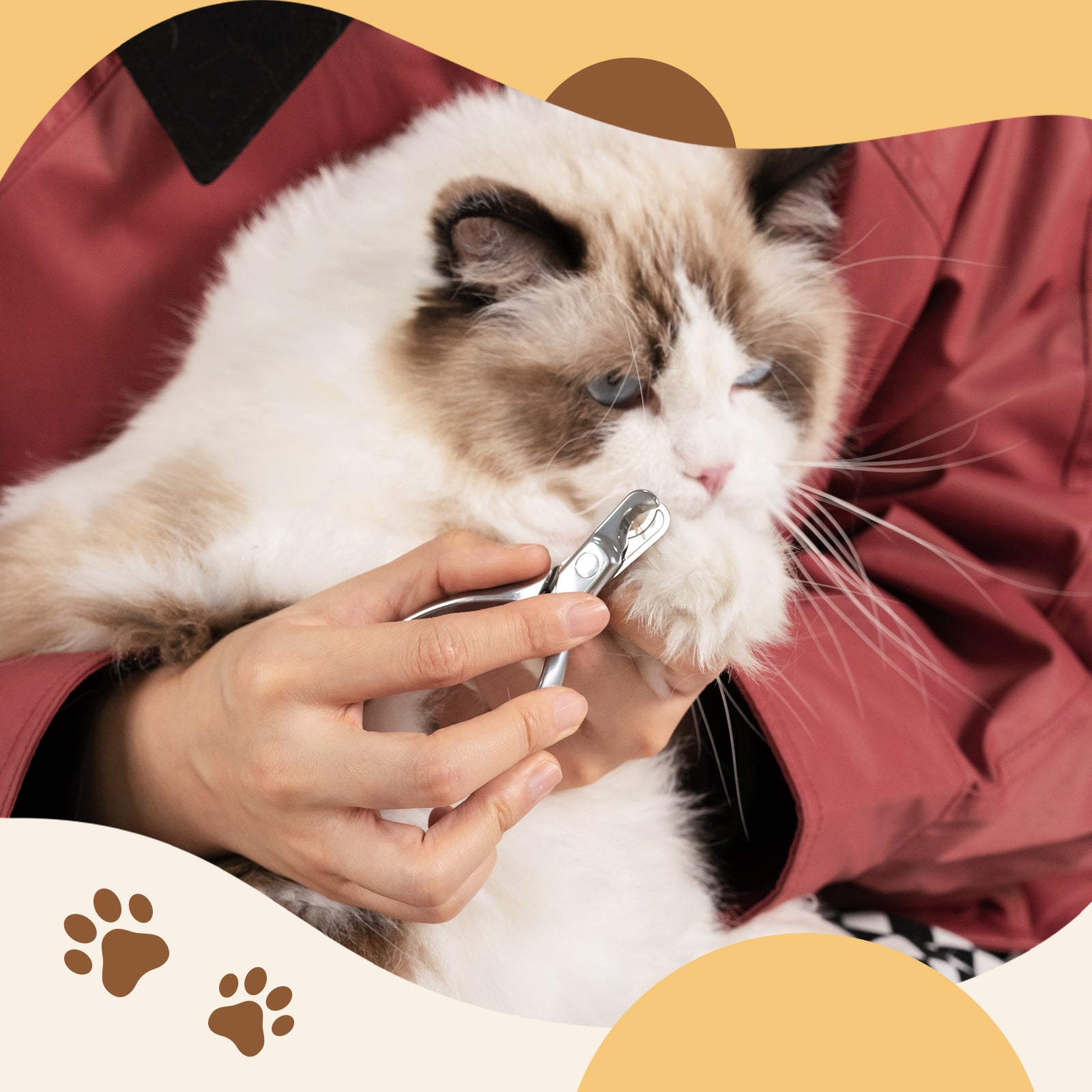 Stainless Steel Pet Nail Clipper with Nail File