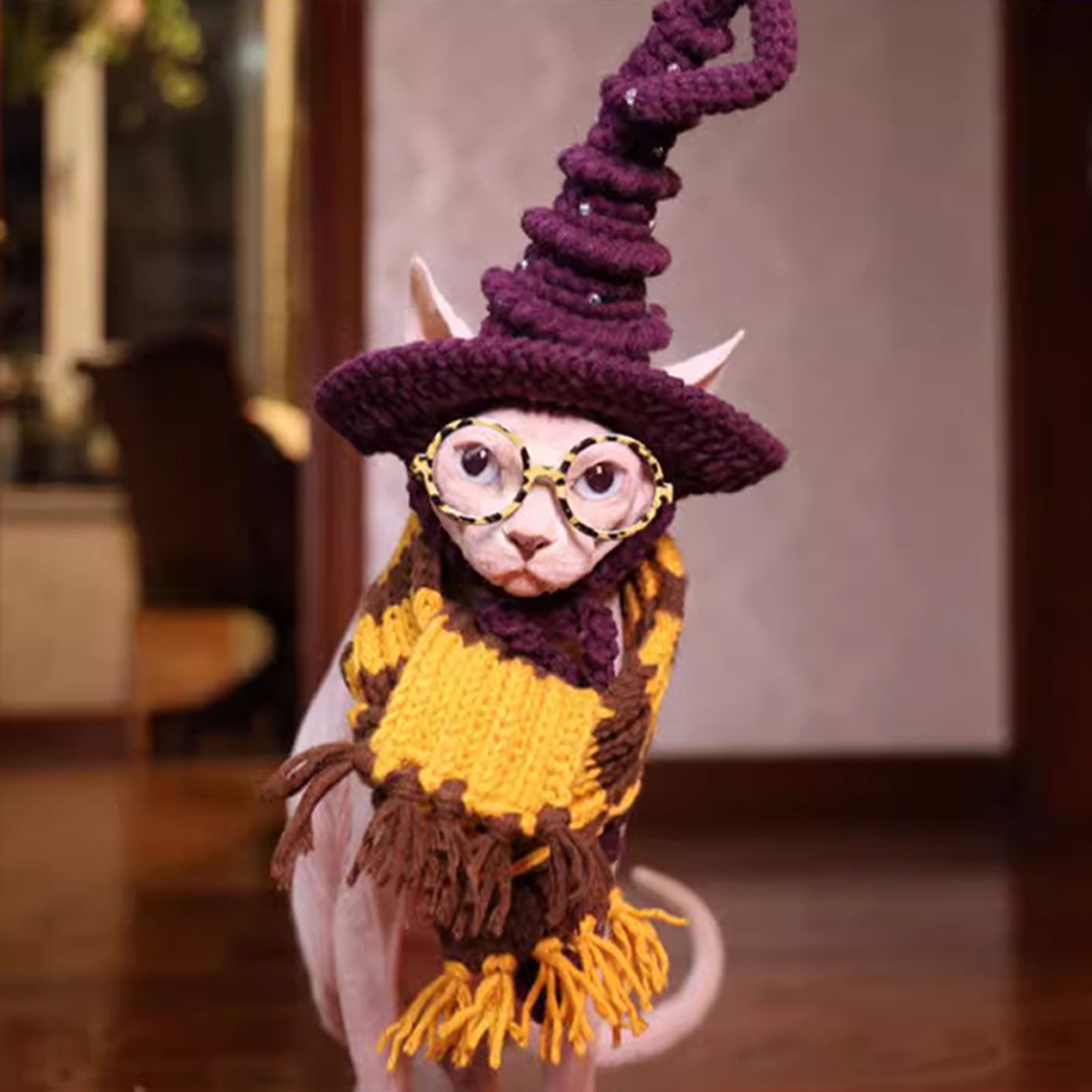 Magic Academy Cat Hat