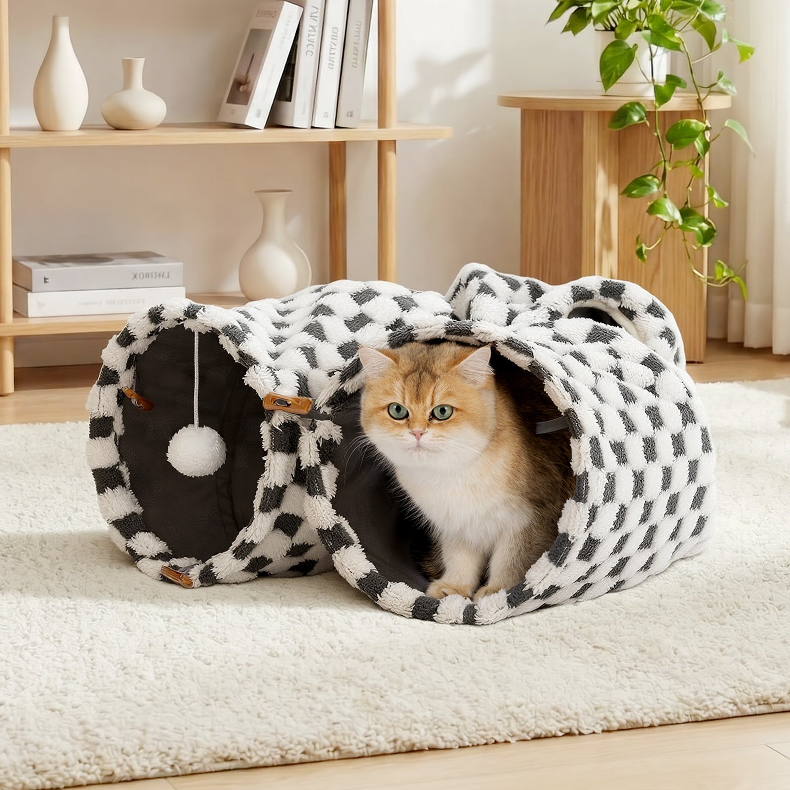 Elves in the Checkerboard Cat Tunnel