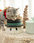 Premium Holiday Gift: Health & Happiness for Your Cat