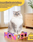 Smart Cat Teaser Box