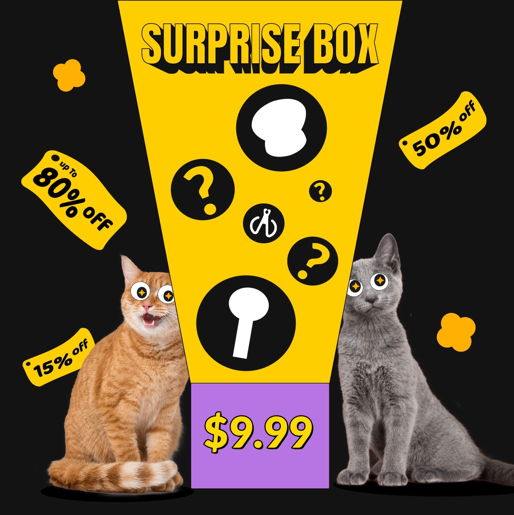 Surprise Blind Box for $9.99 – Get a randomly selected item like a cat bowl, teaser wand, and more