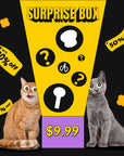 Surprise Blind Box for $9.99 – Get a randomly selected item like a cat bowl, teaser wand, and more