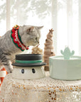 Premium Holiday Gift: Health & Happiness for Your Cat