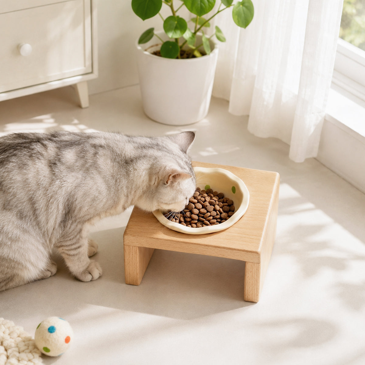 Elevated Wooden Cat Bowl